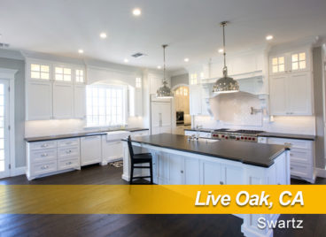 remodel-swartz-liveoak